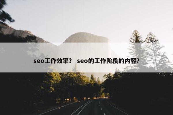 seo工作效率？ seo的工作阶段的内容？
