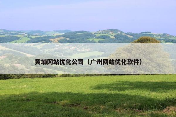 黄埔网站优化公司（广州网站优化软件）