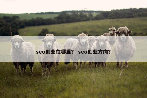 seo创业在哪里？ seo创业方向？