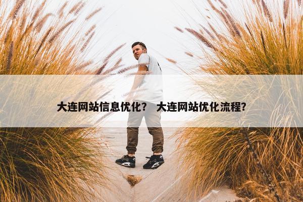 大连网站信息优化？ 大连网站优化流程？