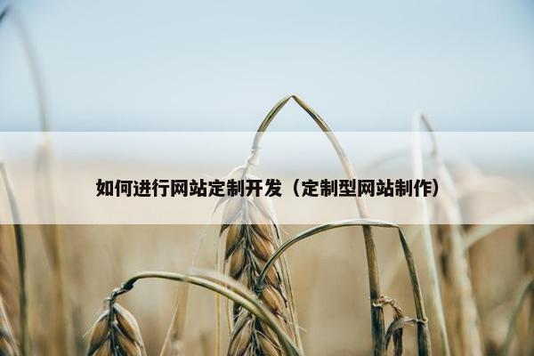 如何进行网站定制开发（定制型网站制作）