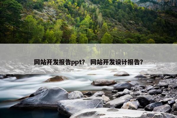 网站开发报告ppt？ 网站开发设计报告？