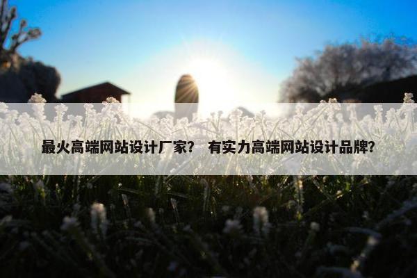 最火高端网站设计厂家？ 有实力高端网站设计品牌？