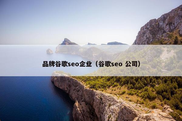 品牌谷歌seo企业（谷歌seo 公司）
