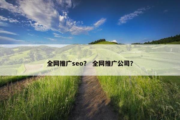 全网推广seo？ 全网推广公司？