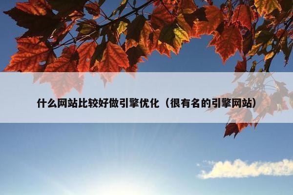 什么网站比较好做引擎优化（很有名的引擎网站）