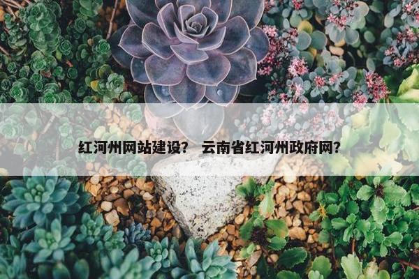 红河州网站建设？ 云南省红河州政府网？