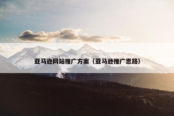 亚马逊网站推广方案（亚马逊推广思路）