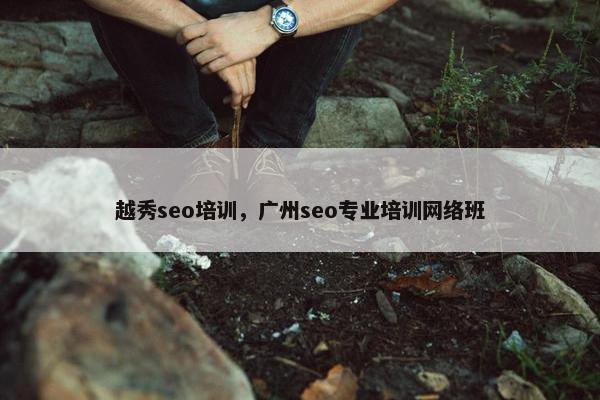 越秀seo培训，广州seo专业培训网络班