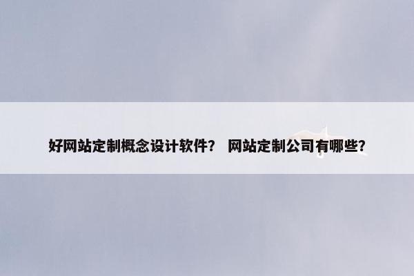 好网站定制概念设计软件？ 网站定制公司有哪些？