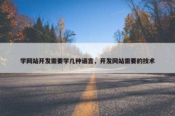 学网站开发需要学几种语言，开发网站需要的技术