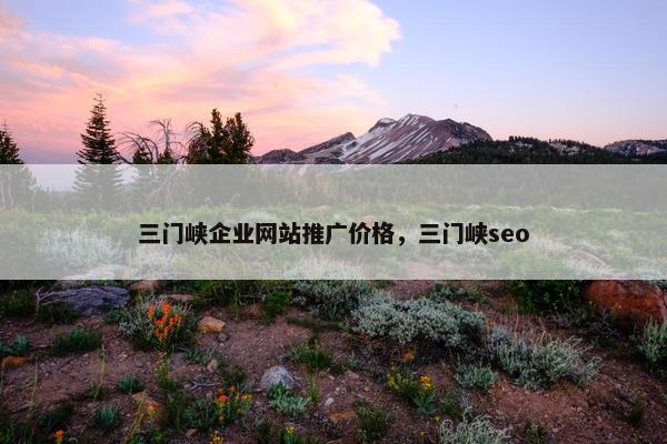 三门峡企业网站推广价格，三门峡seo