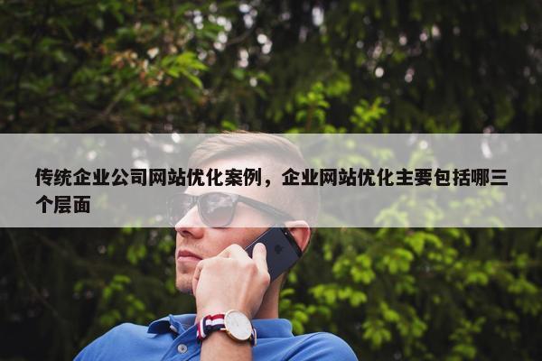 传统企业公司网站优化案例，企业网站优化主要包括哪三个层面