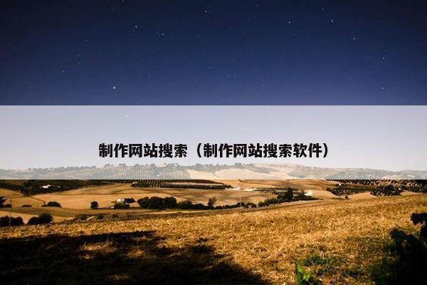 制作网站搜索（制作网站搜索软件）