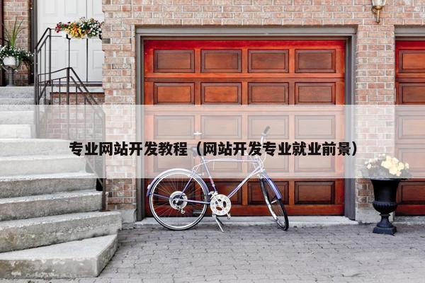 专业网站开发教程（网站开发专业就业前景）