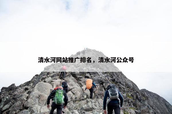 清水河网站推广排名，清水河公众号