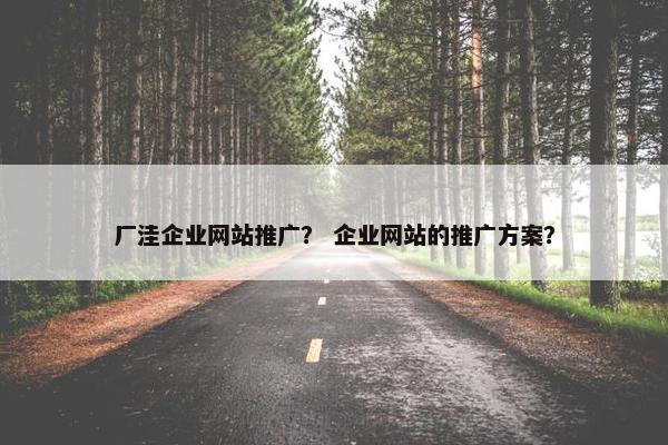 厂洼企业网站推广？ 企业网站的推广方案？
