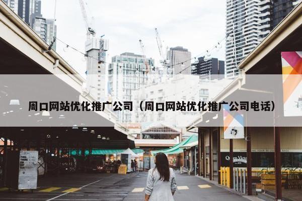 周口网站优化推广公司（周口网站优化推广公司电话）