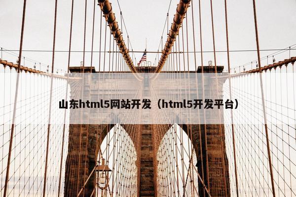 山东html5网站开发（html5开发平台）