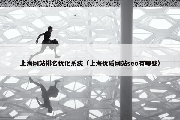 上海网站排名优化系统（上海优质网站seo有哪些）