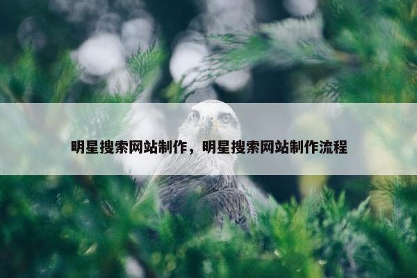 明星搜索网站制作，明星搜索网站制作流程