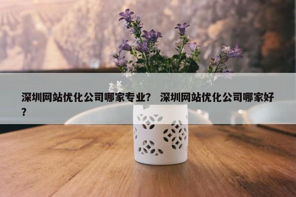 深圳网站优化公司哪家专业？ 深圳网站优化公司哪家好？