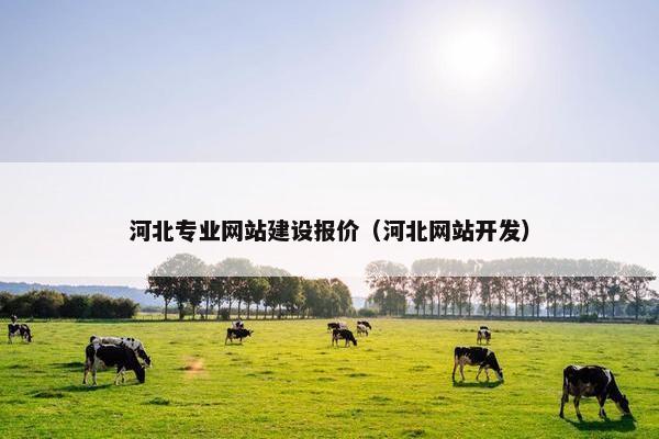 河北专业网站建设报价（河北网站开发）