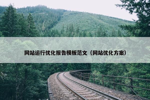 网站运行优化报告模板范文（网站优化方案）
