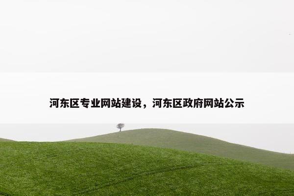 河东区专业网站建设，河东区政府网站公示
