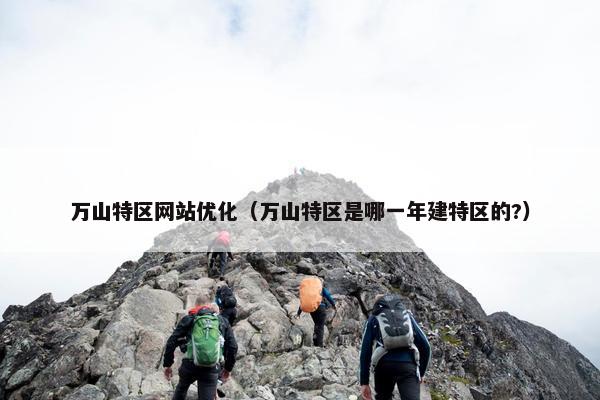 万山特区网站优化（万山特区是哪一年建特区的?）