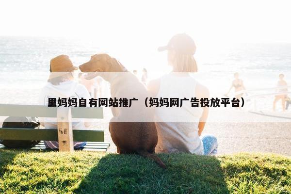 里妈妈自有网站推广（妈妈网广告投放平台）