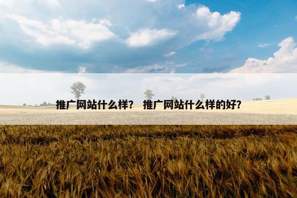 推广网站什么样？ 推广网站什么样的好？