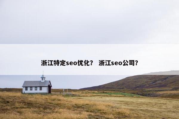 浙江特定seo优化？ 浙江seo公司？