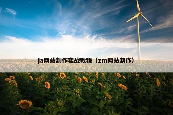 ja网站制作实战教程（zm网站制作）