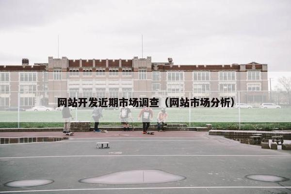 网站开发近期市场调查（网站市场分析）