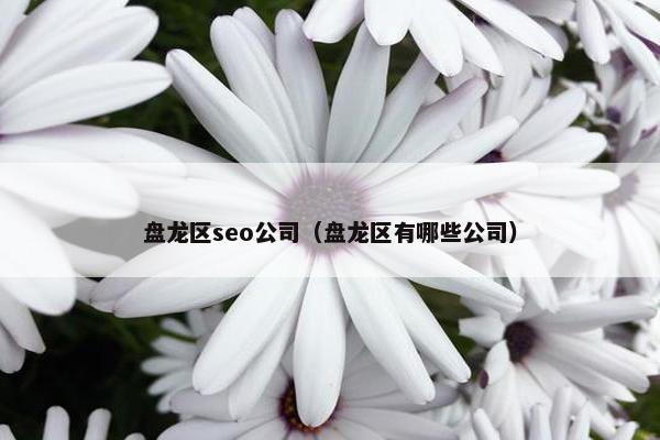 盘龙区seo公司（盘龙区有哪些公司）
