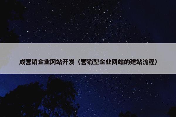 成营销企业网站开发（营销型企业网站的建站流程）