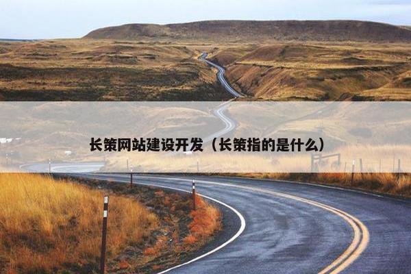 长策网站建设开发（长策指的是什么）
