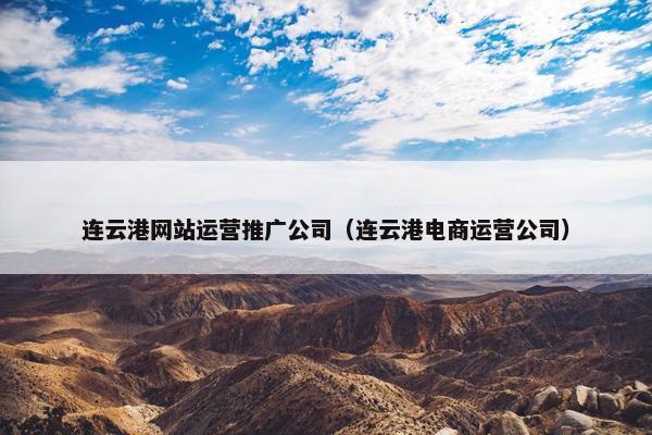 连云港网站运营推广公司（连云港电商运营公司）