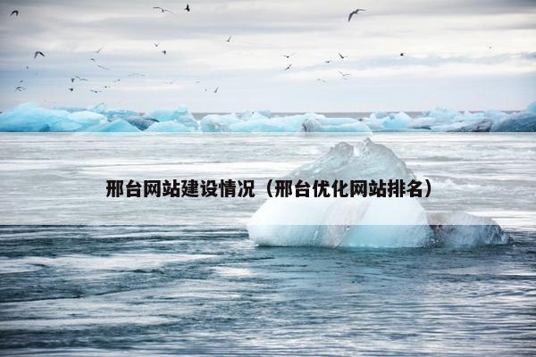 邢台网站建设情况（邢台优化网站排名）