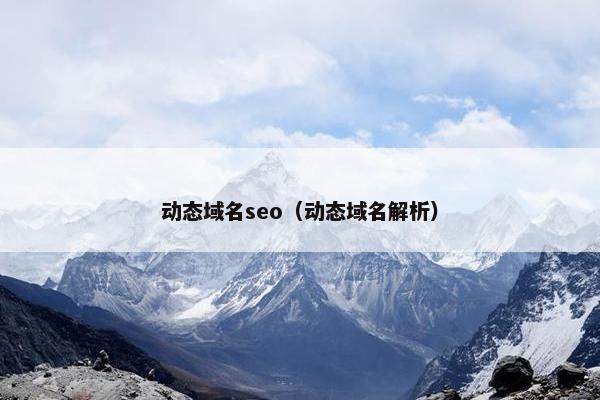 动态域名seo（动态域名解析）