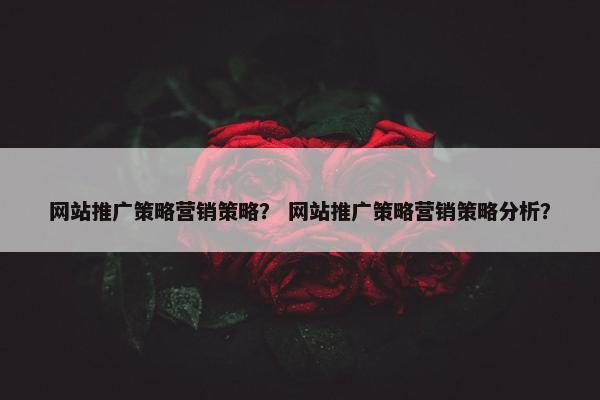 网站推广策略营销策略？ 网站推广策略营销策略分析？