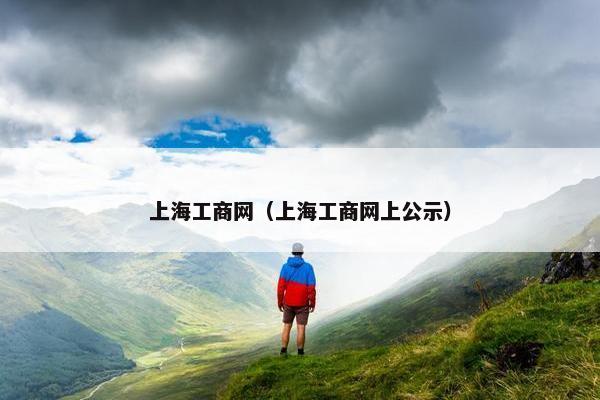 上海工商网（上海工商网上公示）