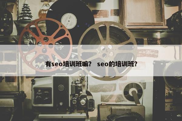 有seo培训班嘛？ seo的培训班？