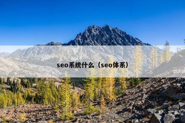seo系统什么（seo体系）
