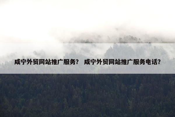 咸宁外贸网站推广服务？ 咸宁外贸网站推广服务电话？