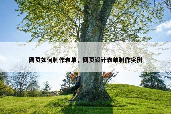 网页如何制作表单，网页设计表单制作实例
