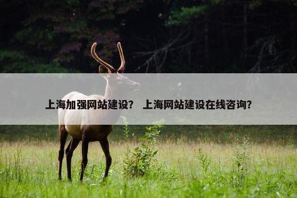 上海加强网站建设？ 上海网站建设在线咨询？