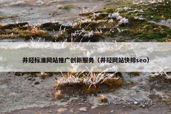 井陉标准网站推广创新服务（井陉网站快排seo）