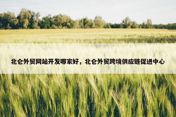 北仑外贸网站开发哪家好，北仑外贸跨境供应链促进中心